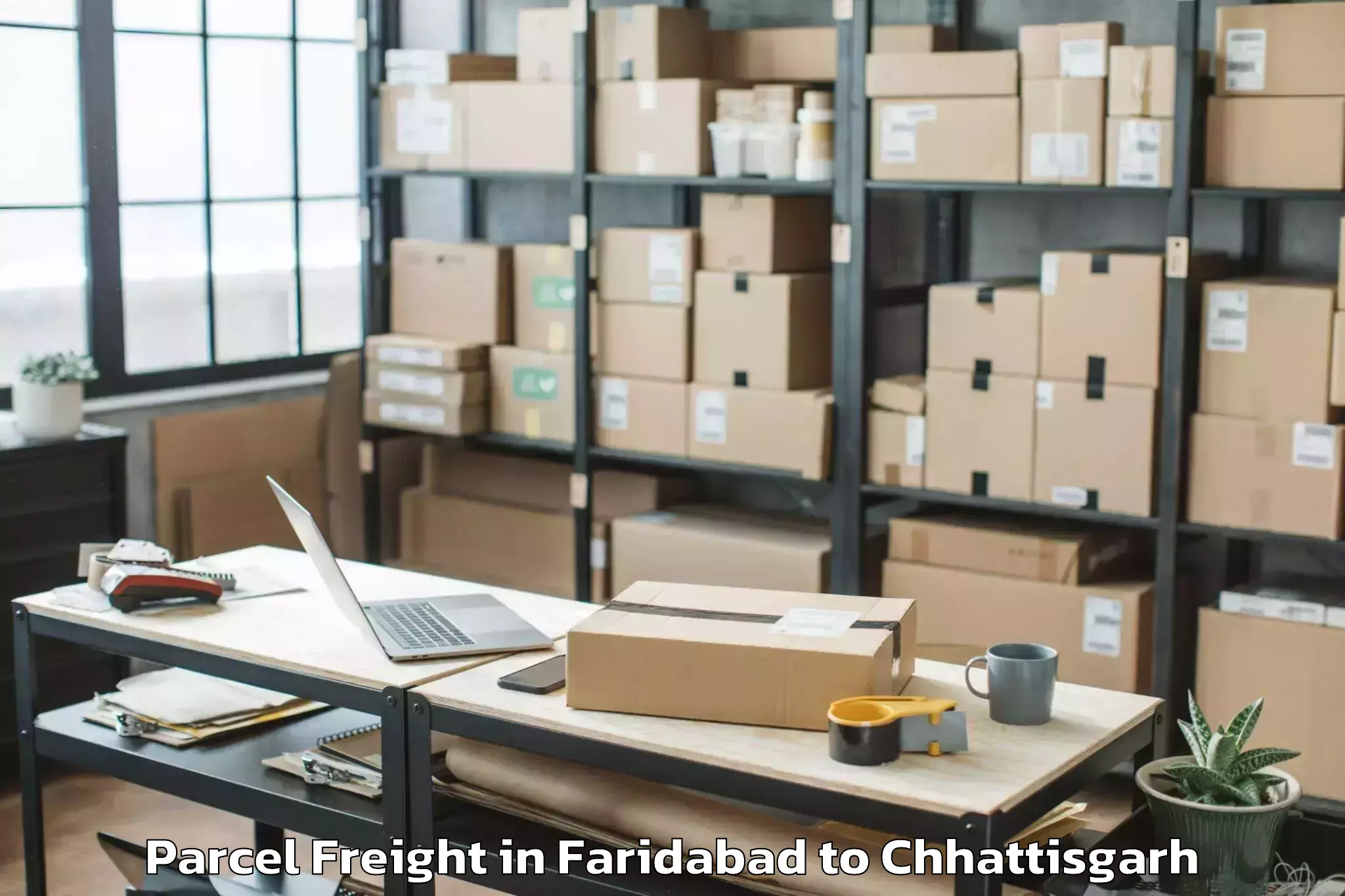 Quality Faridabad to Bhatapara Parcel Freight